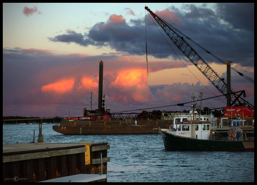Working Harbor Photograph by Tim Nyberg