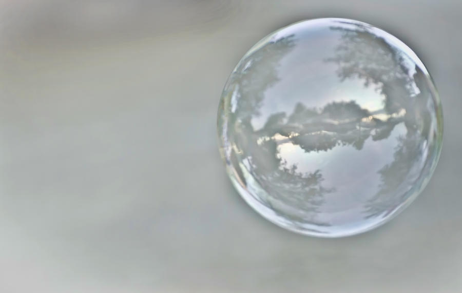 World in a Bubble Photograph by Heather Applegate