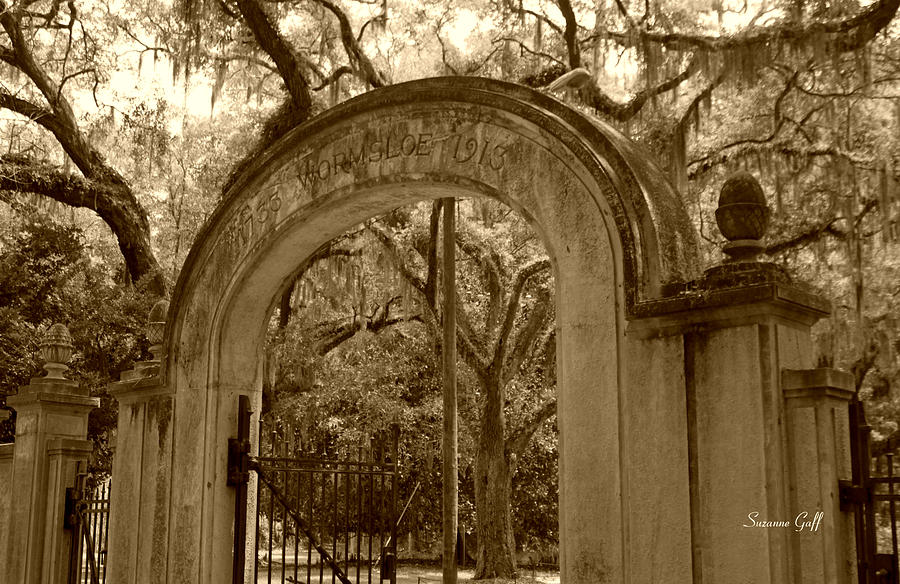 Wormsloe Gate 1733-1913 in sepia Photograph by Suzanne Gaff