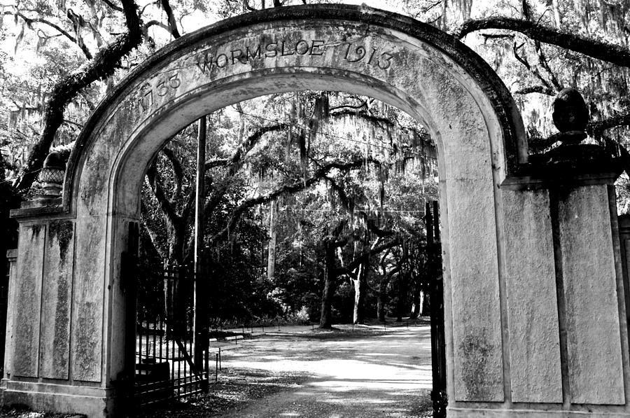 Wormsloe Plantation Photograph by Leslie Lovell