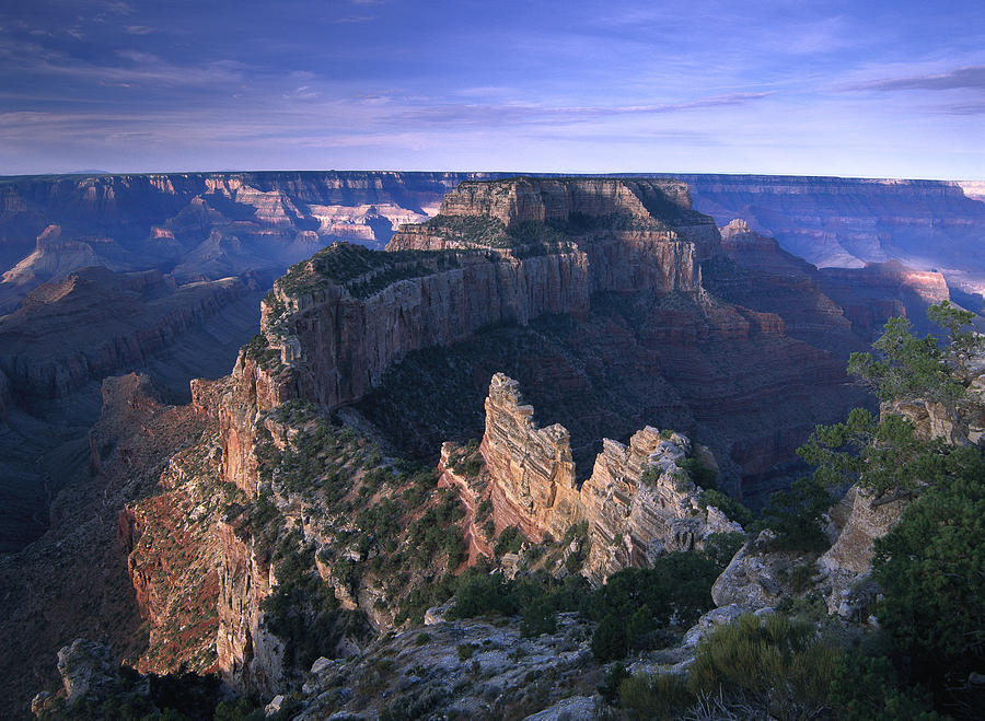 Wotans Throne From Cape Royal North Rim Photograph by Tim Fitzharris