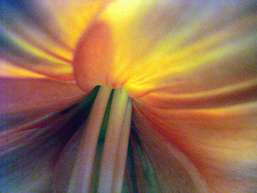 Flower Photograph - Wow flower by Mary Halpin