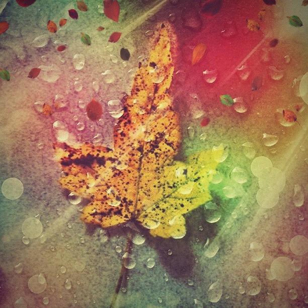 Fall Photograph - #wowfx #fall #autumn #leaf #filtermania by Lori Lynn Gager