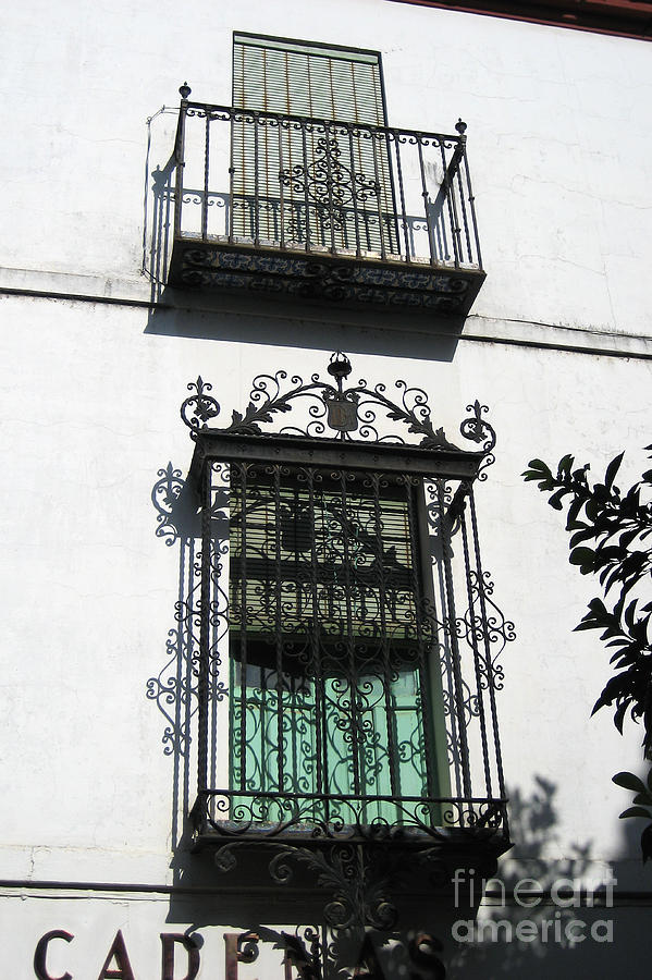 Wrought Iron Photograph by Bob and Nancy Kendrick