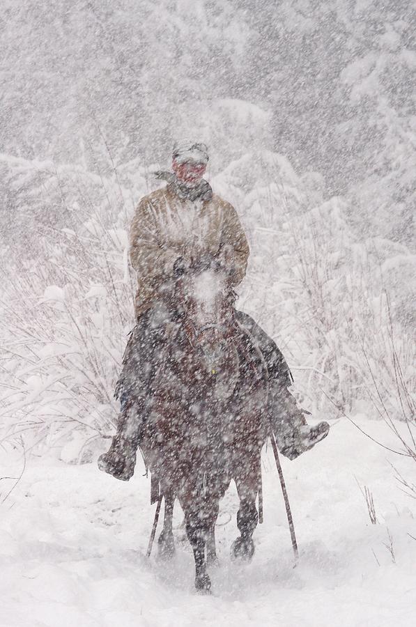 Wyoming Blizzard Cowboy Photograph by Sherri Meikle