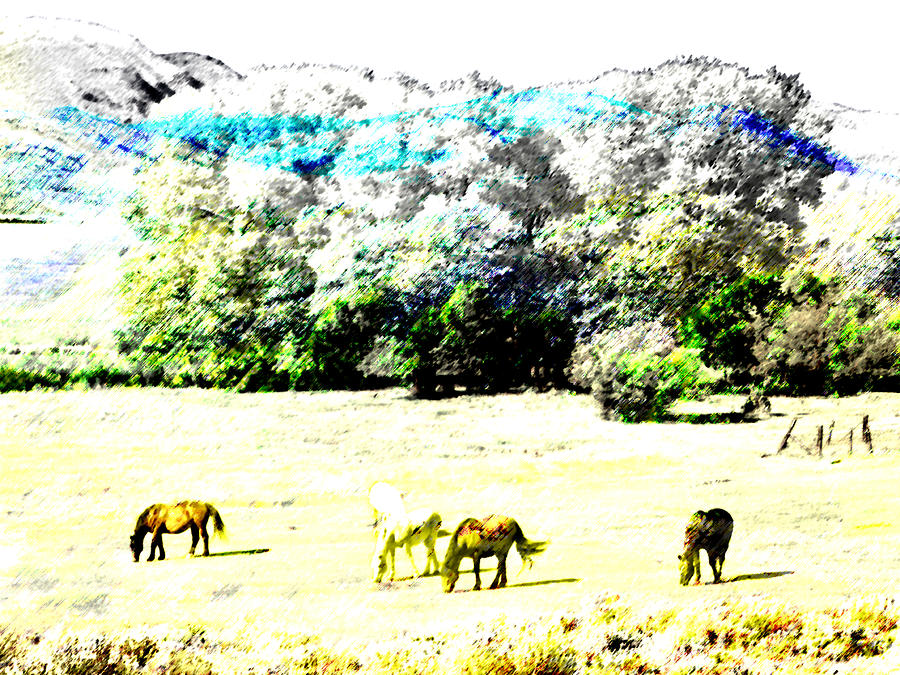 Abstract Photograph - Wyoming Landscape with Horses 2 by Lenore Senior