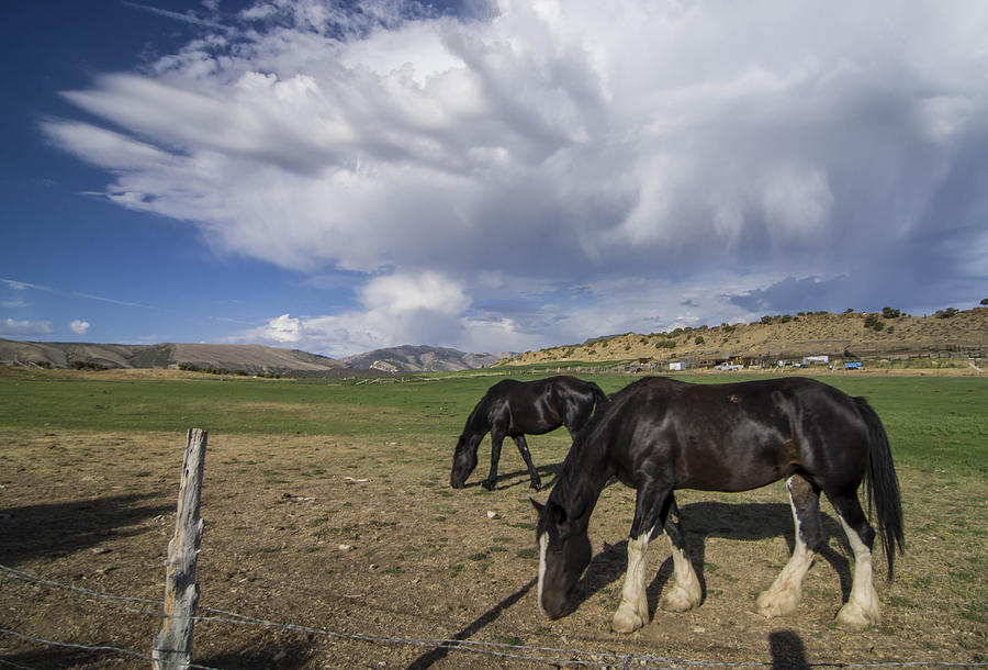 Wyoming Ranch Scene Photograph by Wayne Johnson | Fine Art America