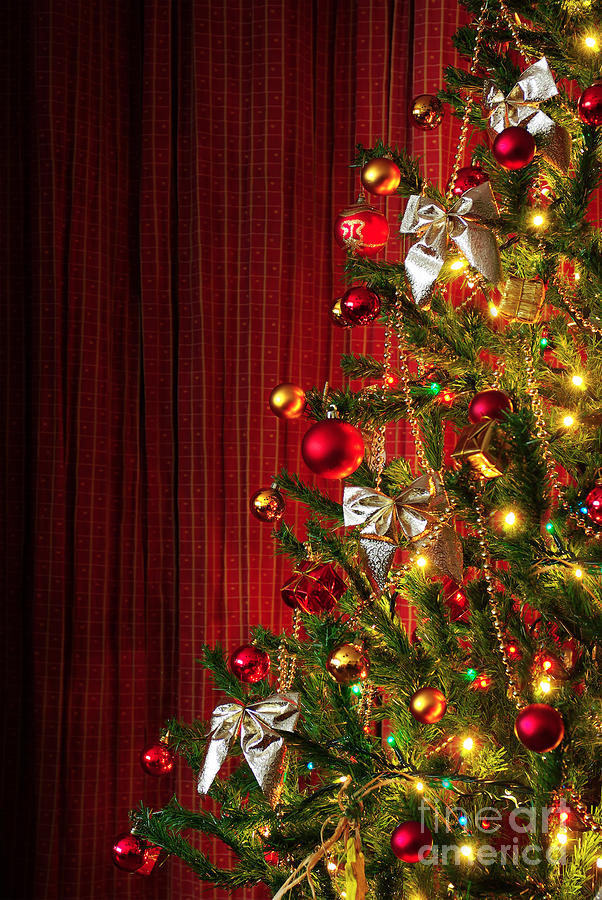 Christmas Photograph - Xmas tree on red by Carlos Caetano