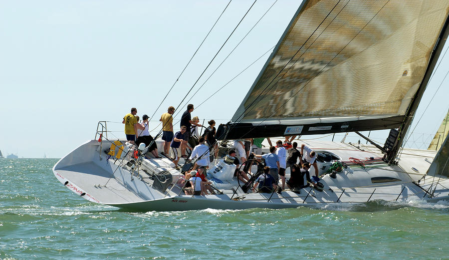 yacht race at cowes
