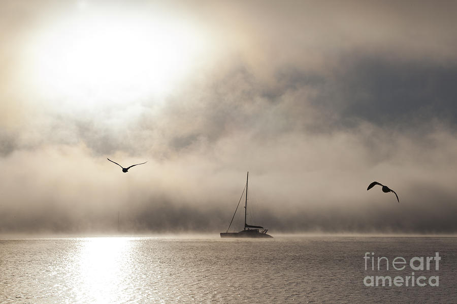 Yacht with gulls in mist Photograph by Sheila Smart Fine Art Photography