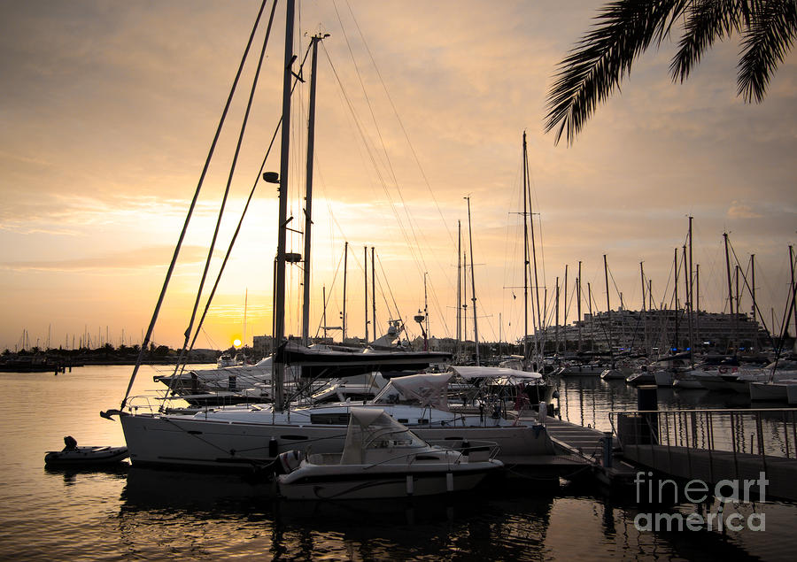 Rope Photograph - Yachts at Sunset by Carlos Caetano