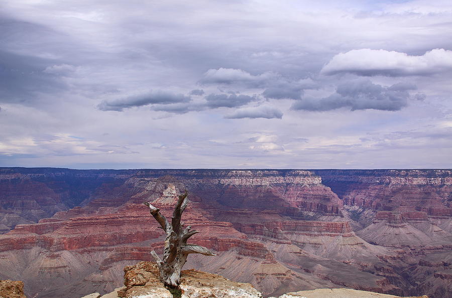 Grand Canyon National Park Photograph - Yaki Point by Viktor Savchenko