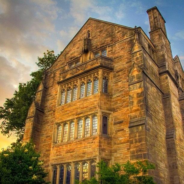 Summer Photograph - #yale #campus #hdr #summer #latergram by Stephen Whitaker