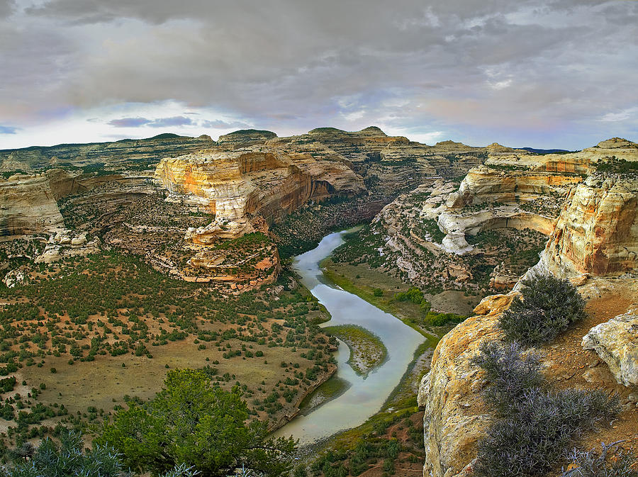 Yampa River Flowing Through Canyons Photograph by Tim Fitzharris