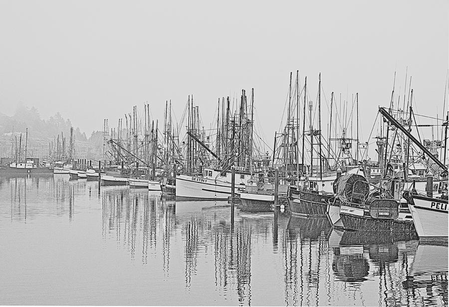 Yaquina Bay Harbor   Newport Oregon Photograph by Gordon Ripley