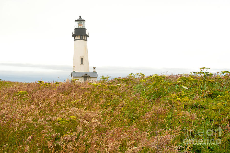 Yaquina Head Lighthouse in Oregon Photograph by Artist and Photographer Laura Wrede