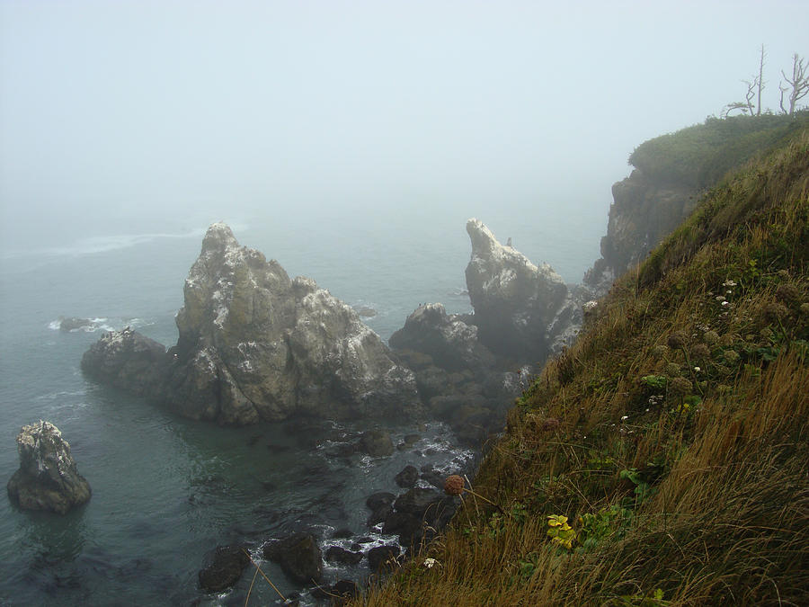 Chicago Photograph - Yaquina Headlands towards Cape Foulweather by Glenna McRae