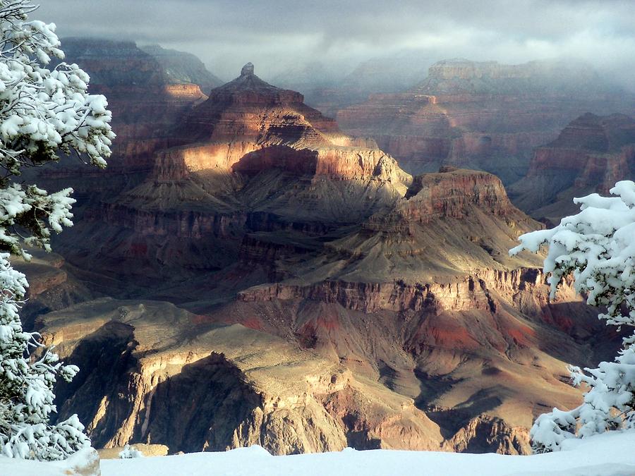 Grand Canyon National Park Photograph - Yavapai Point 4 by Carrie Putz