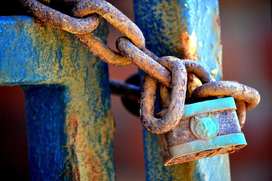 Ye Ole Lock and Chain Photograph by Fraida Gutovich