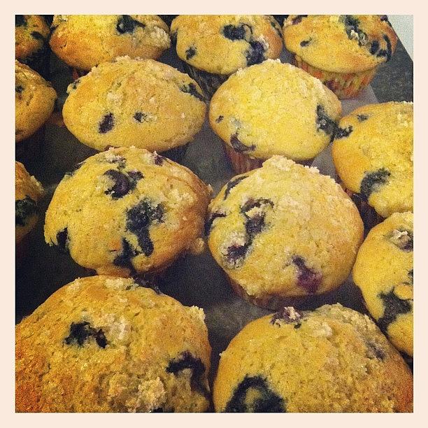 Yeah, I Baked. Lemon Blueberry Photograph by Thayer Newport