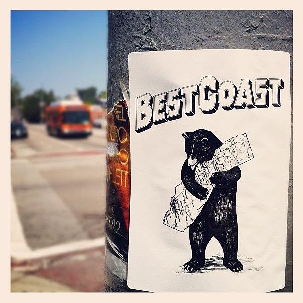 Bear Photograph - Yeah Yeah! #cali #westcoast #bestcoast by Andres Cruz