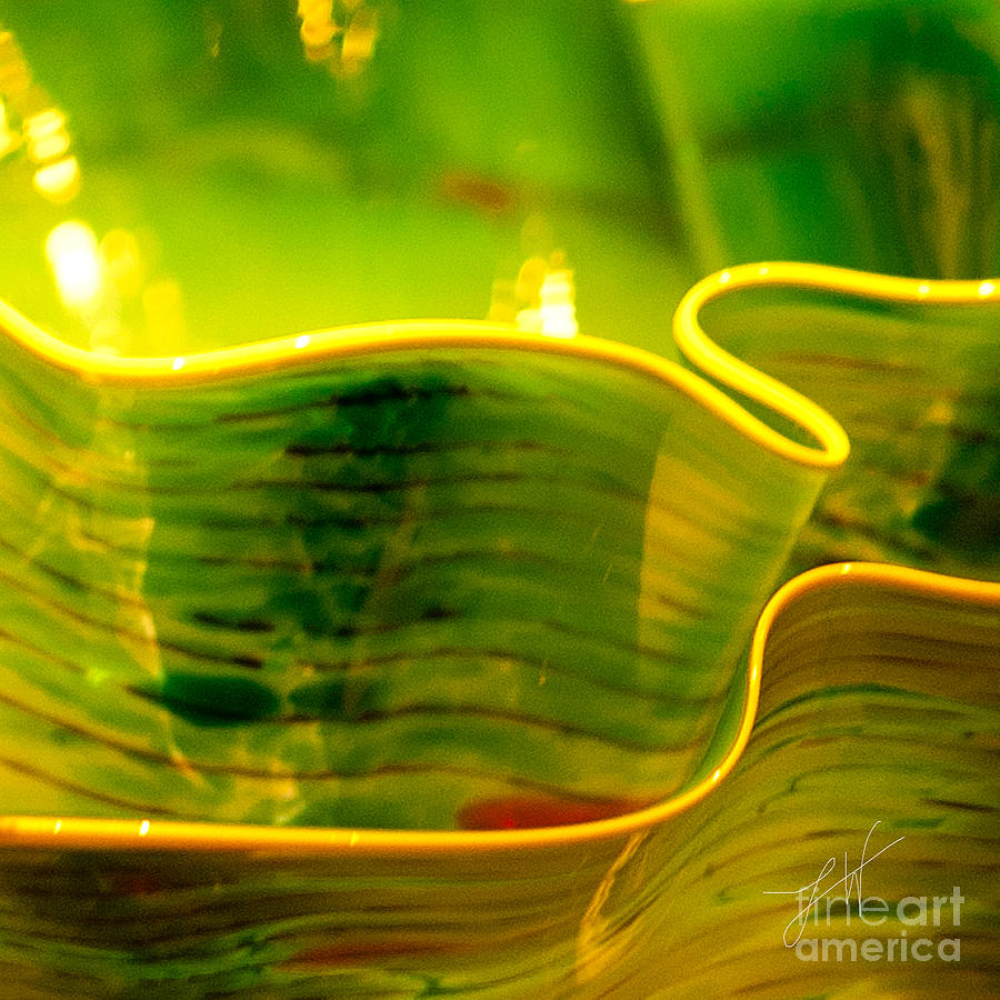 Yellow and Green Photograph by Artist and Photographer Laura Wrede