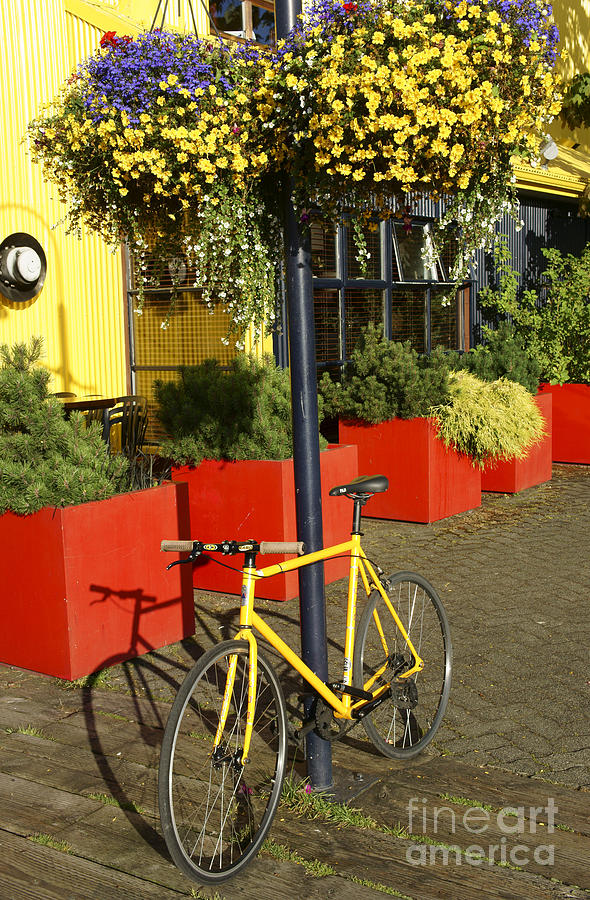 YELLOW BICYCLE Vancouver Canada Photograph by John  Mitchell