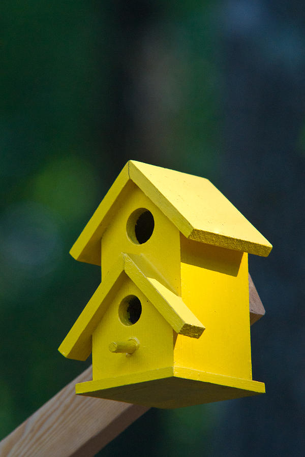 Yellow Bird House Photograph by Douglas Barnett