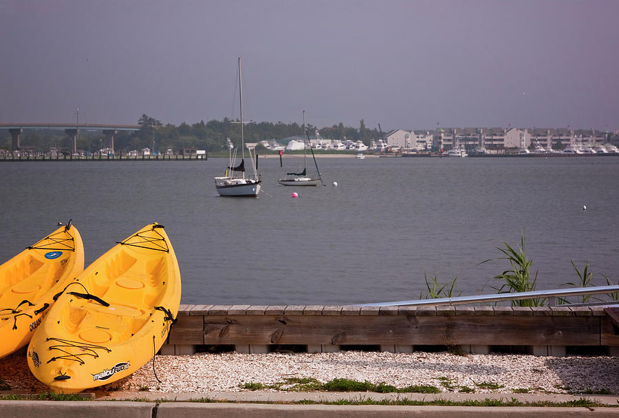 Yellow Boats in Cape May Photograph by Tom Singleton
