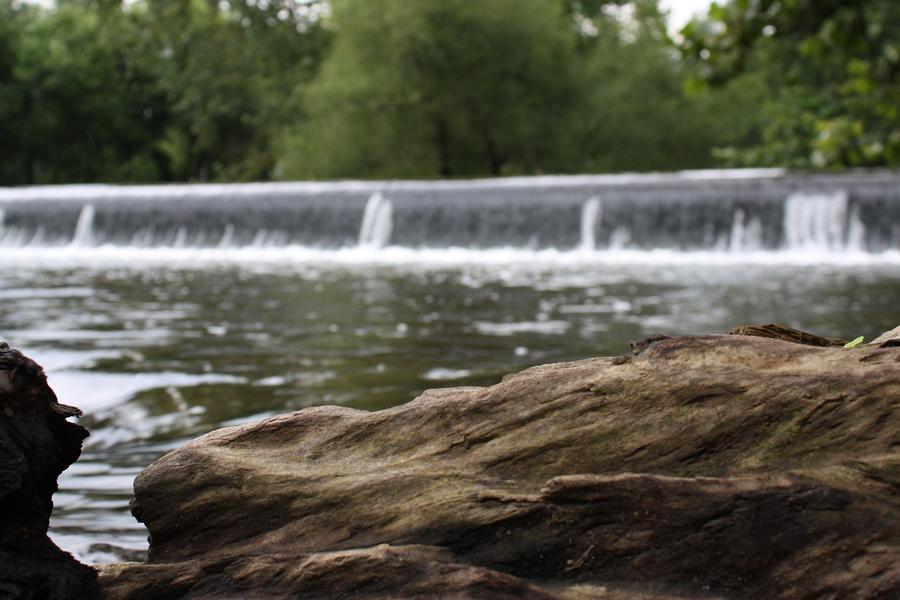 Yellow Breeches Photograph by Jaime Manning Yellow Breeches Photograph by Jaime Manning