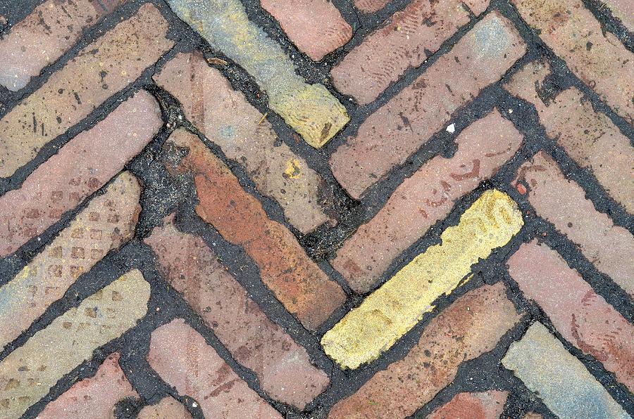 Yellow Brick Photograph by Catherine Murton