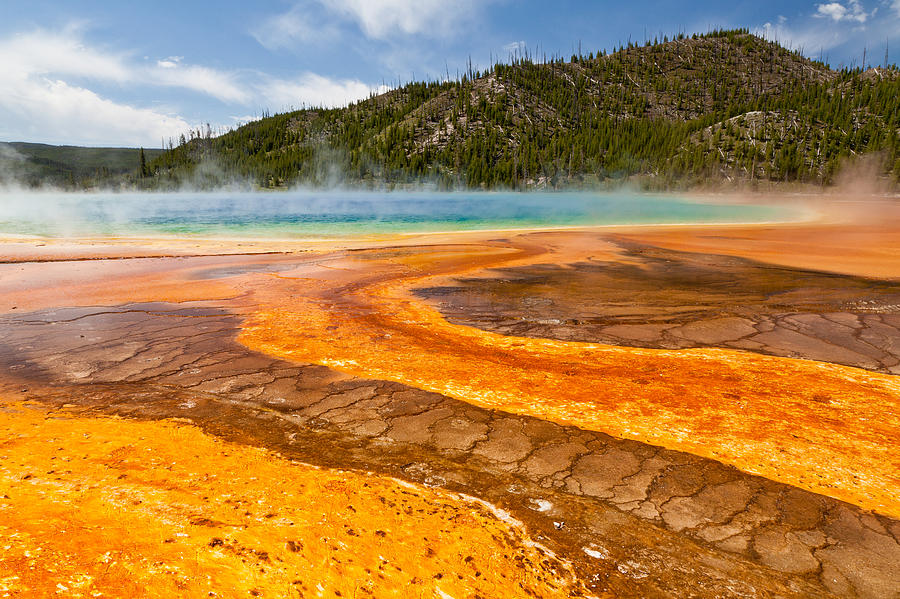 Yellow Brick Road - Grand Prismatic Spring Photograph by Adam Pender