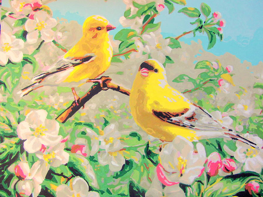 Bird Painting - Yellow Chickidee with Blossoms by Amy Bradley