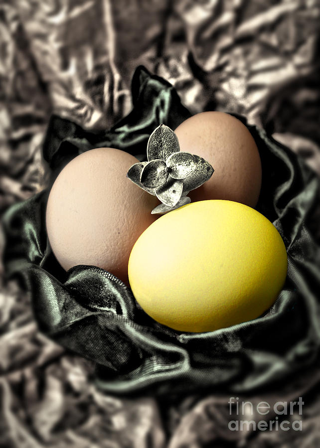 Yellow Classy Easter Egg Photograph by Danuta Bennett