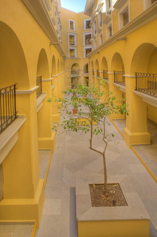 Yellow Courtyard Photograph by Mark Harrington
