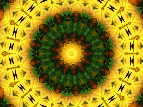 Kaleidoscope Photograph - Yellow Daisies by Yvette Pichette