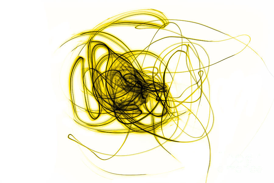 Yellow Doodle Photograph by Sabine Jacobs