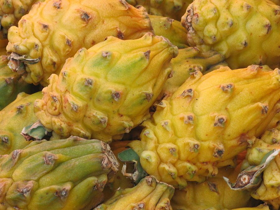 Fruit Photograph - Yellow Dragon Fruit by Alfred Ng