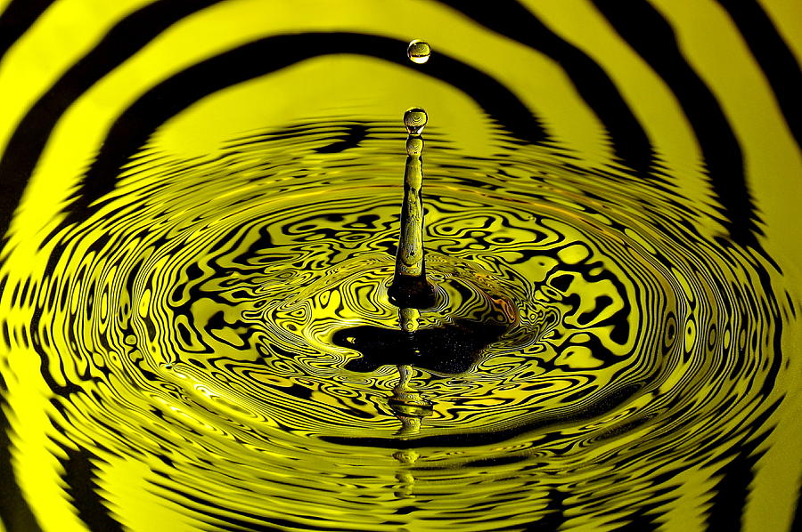 Water Drop Photograph - Yellow Drop by Carlos Nass