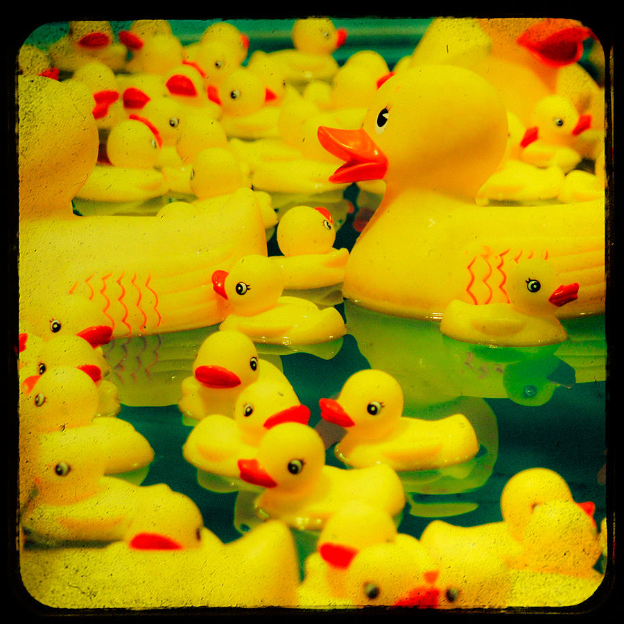 Yellow Ducky Game Photograph by Sonja Quintero