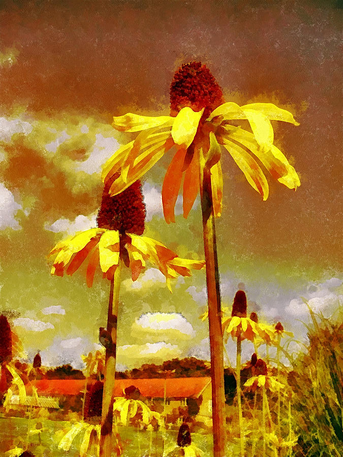 Yellow Echinacea  Van Gogh style Photograph by Chris Thaxter