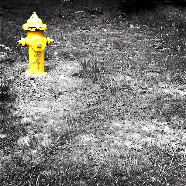 Summer Photograph - Yellow Fire Hydrant. #unique by Leslie Drawdy ☀