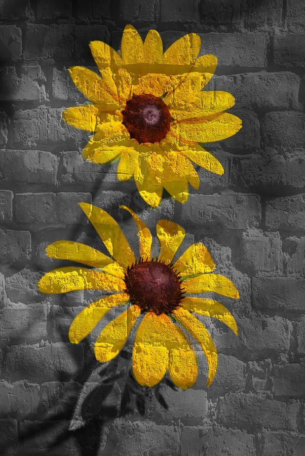 Yellow flower grafitti Mixed Media by Eric Liller
