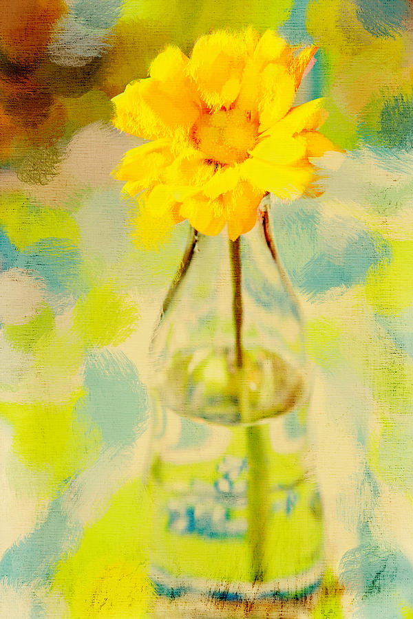 Yellow flower Photograph by Toni Hopper Yellow flower Photograph by Toni Hopper