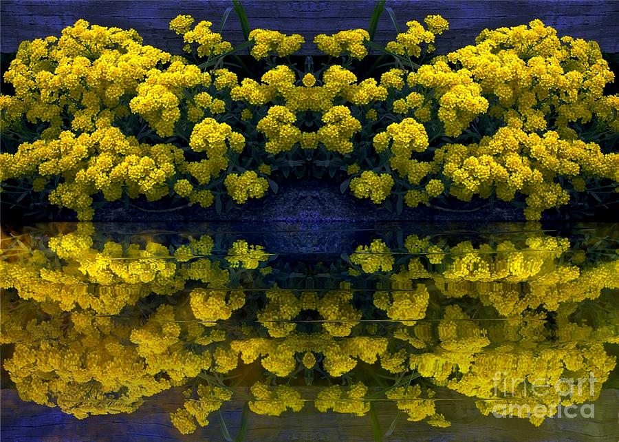 Yellow Flowers Digital Art by Dale   Ford
