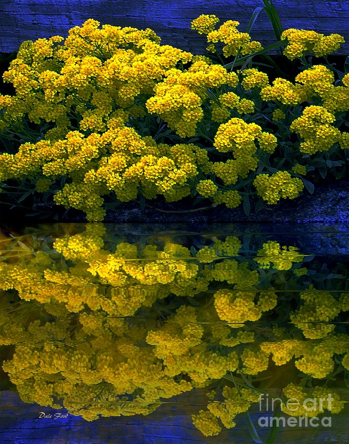 Yellow Flowers Reflected Digital Art by Dale   Ford