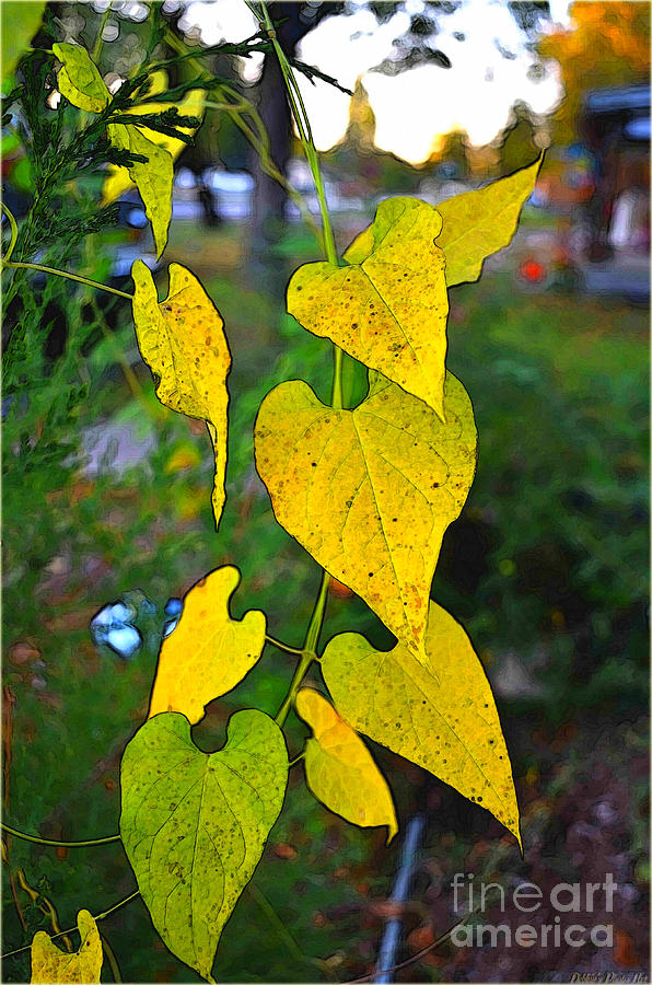 Yellow heart leaves  photoart I Photograph by Debbie Portwood
