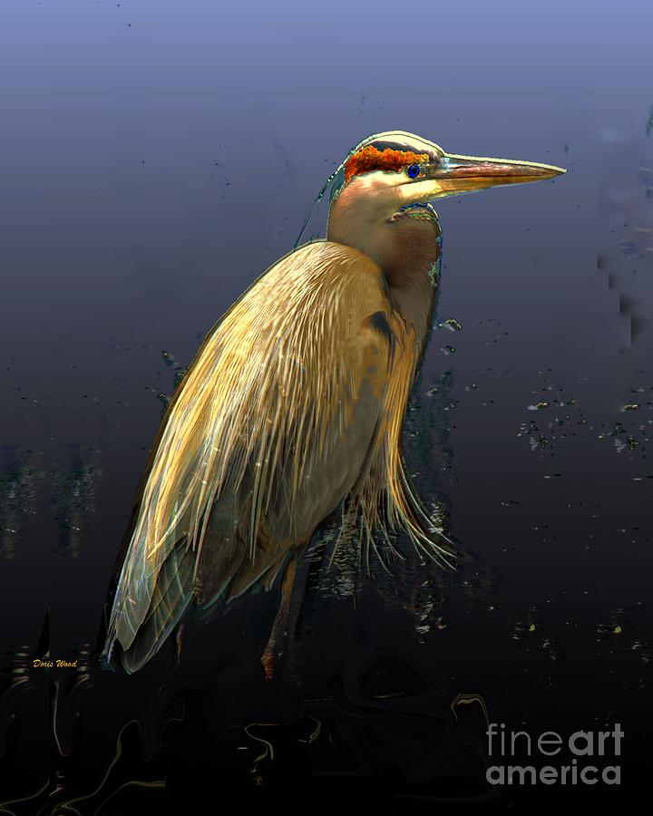 Heron Digital Art - Yellow Heron by Doris Wood
