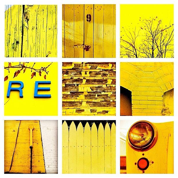 Yellow Photograph - Yellow by Julie Gebhardt