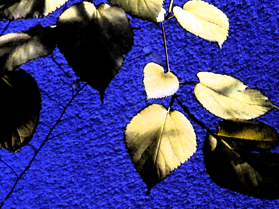 Yellow Leaves On Blue Digital Art by Eric Forster